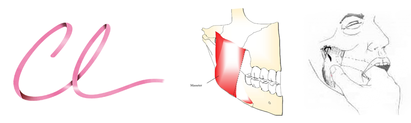 Método de Palpação do Músculo Masseter Intra e Extra Bucal