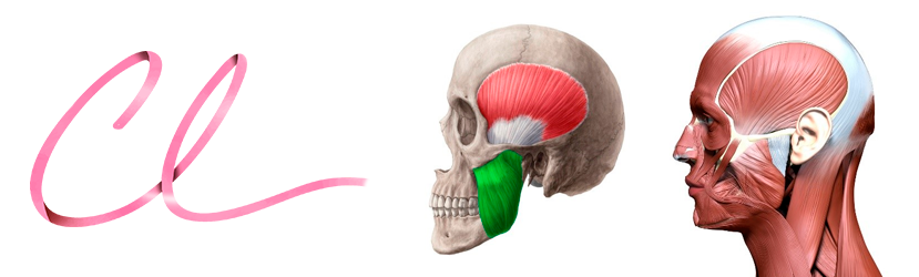 Ilustração da Localização do Músculo Masseter na Face