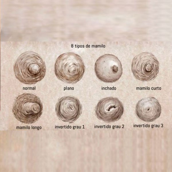 Ilustração de 8 Tipos Diferentes de Mamilos